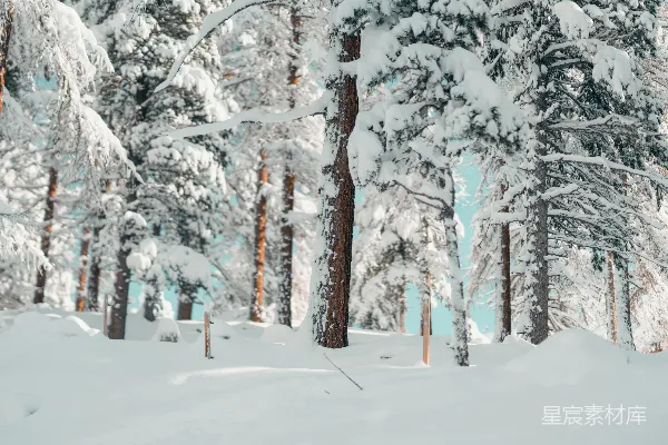 一个男人在覆有白雪的斜坡上滑翔器前行