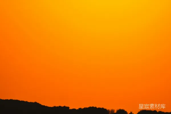 夕阳落下一片田野，马匹位于前景。