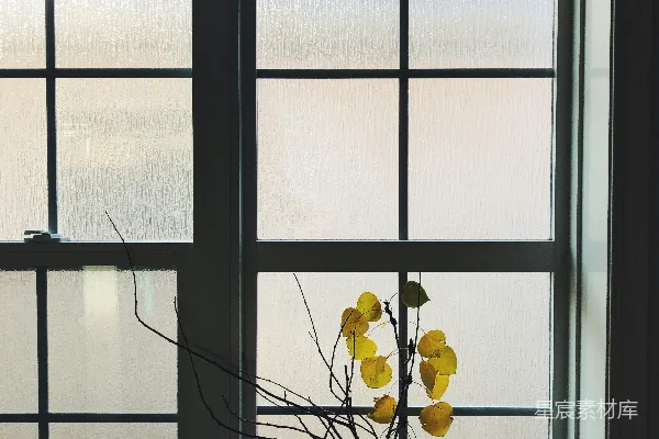 窗台上摆放着一束鲜花