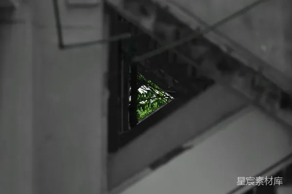 高清摄影 通过工业楼梯结构看到的绿树