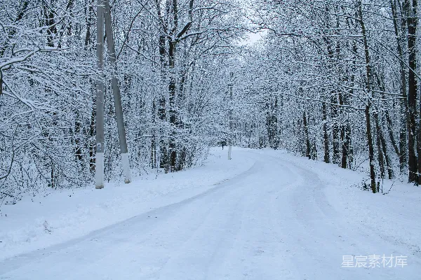 森林中一条覆盖着白雪的道路