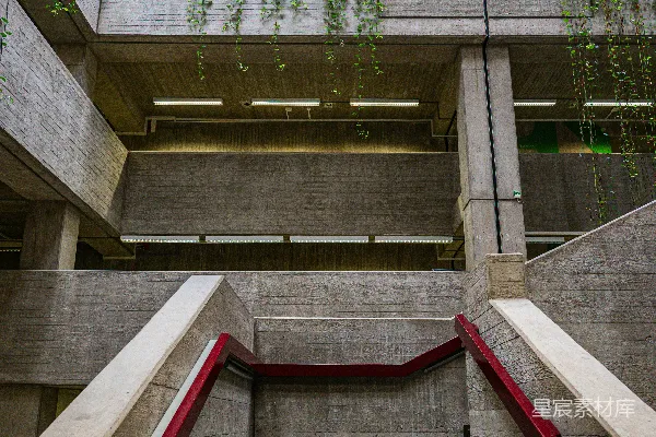 高清摄影 混凝土粗野主义建筑的内部，悬挂着植物。