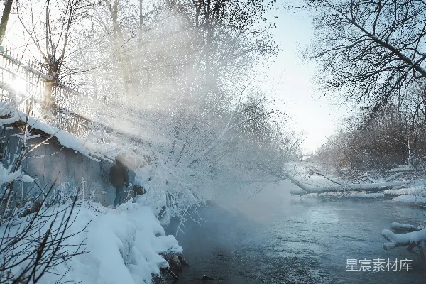 一条河流穿过覆盖着白雪的森林