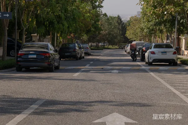 停在有箭头标志的树荫街道上的汽车。