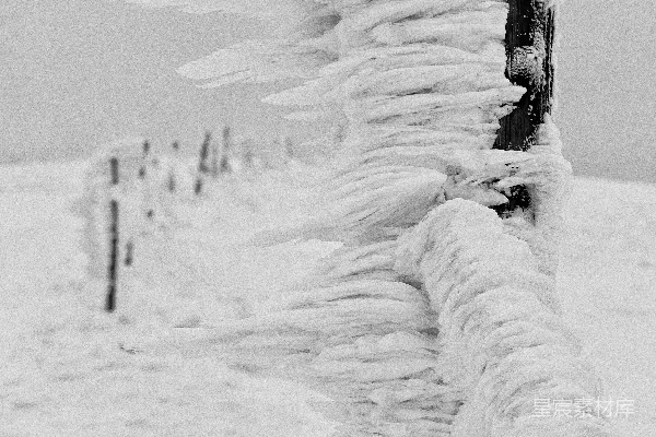 白天覆盖着白雪的田野