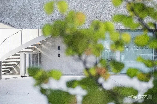 高清摄影 一栋白色建筑前有一棵大树和一段楼梯。