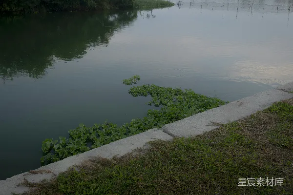 高清摄影 平静的水面，绿植和草地的河岸