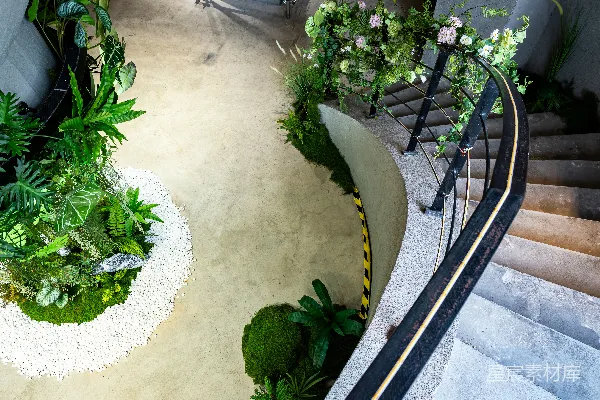 高清摄影 绿意盎然的植被与现代化建筑的混凝土楼梯