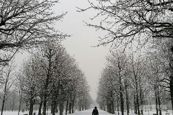 一个人走在覆有白雪的小径上