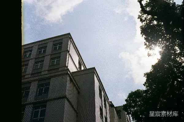 高清摄影 一座高楼坐落在一棵树旁边