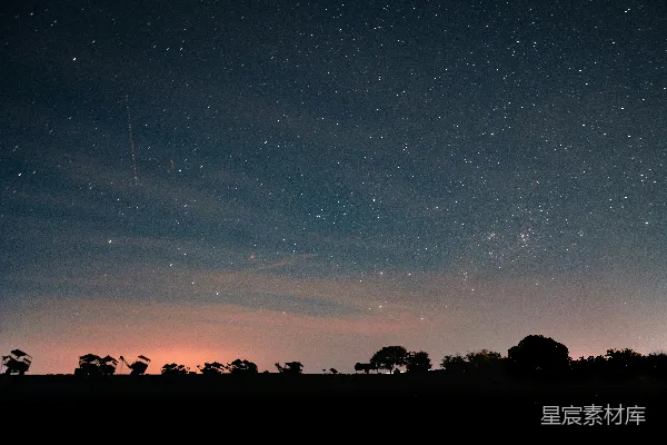 夜空中树影的轮廓