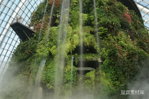高清摄影 建筑物内的绿色植物