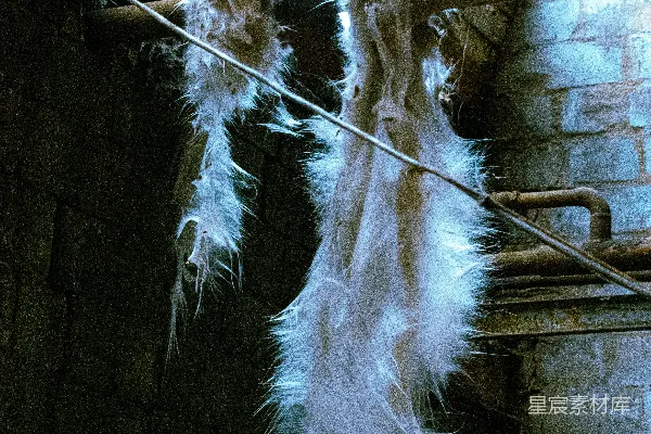 高清摄影 几只白色的羽毛挂在晾衣绳上