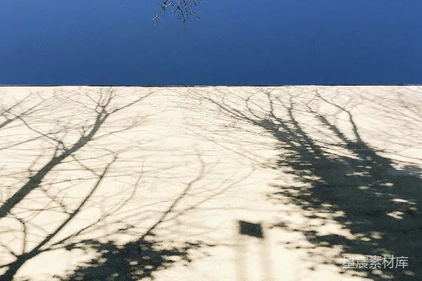 高清摄影 树影在地上