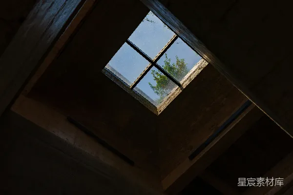 高清摄影 天窗透出天空和一棵树。