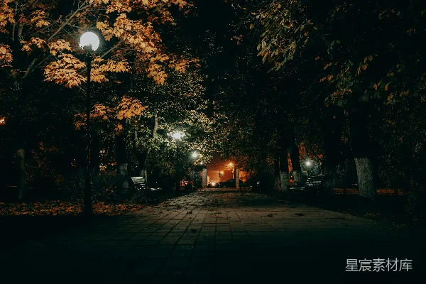 高清摄影 一条夜晚的暗巷，一盏灯亮着。