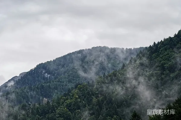 云雾覆盖下的森林遮蔽着一道陡峭的山脊，在阴沉的天空下。
