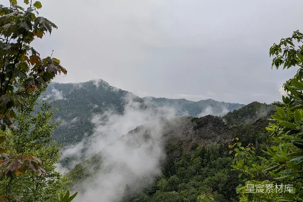山中绿树映衬白云的白天景色