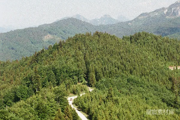 蜿蜒曲折的山路穿过一片郁郁葱葱的森林。