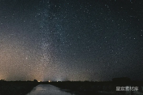 星夜下的树影轮廓