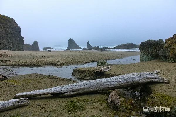 海滩上的日记