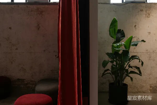 高清摄影 红色的幕布框住室内植物和窗户。