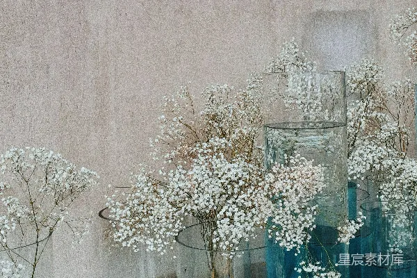 高清摄影 一幅装有鲜花的花瓶的画