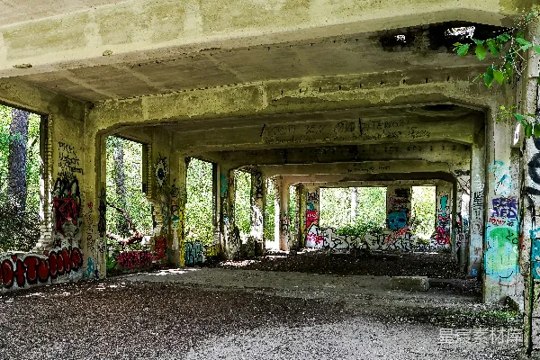 高清摄影 废弃的混凝土建筑，上面有涂鸦，周围环绕着树木。