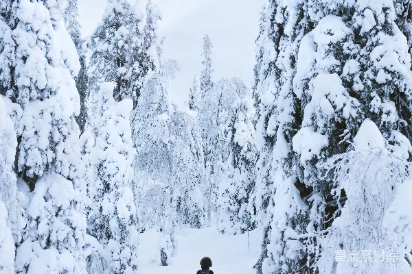 一个行人穿过覆盖着白雪的森林