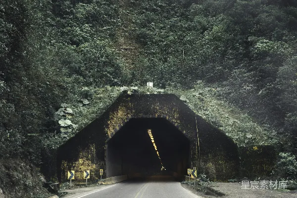 高清摄影 一条通向森林中部隧道的道路