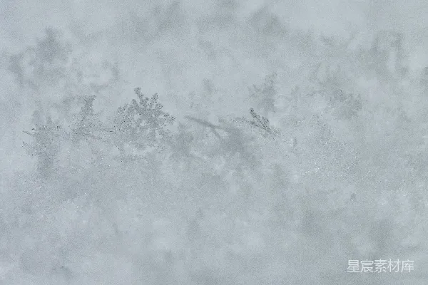 白天地面覆盖着白雪