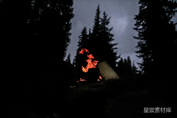 森林中夜间的篝火