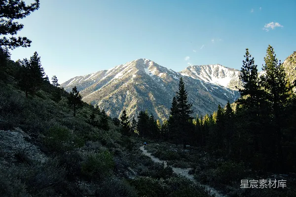 白雪皑皑的山峦和阳光下的松树林围绕着山谷。