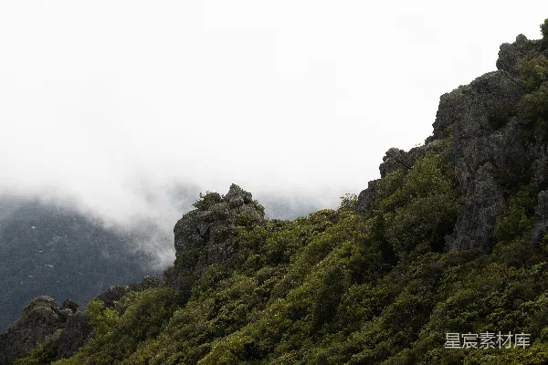 山顶有一丛树木的非常高大的山