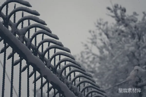 覆雪的栅栏，背景是光秃秃的树木。