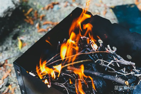 浅景深摄影中燃烧的树林