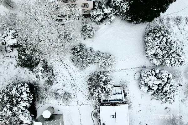 雪中房屋的俯瞰图