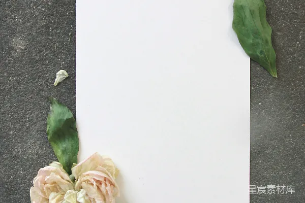 高清摄影 空打印机纸上的花