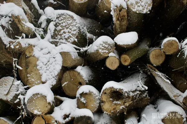 一垛堆满新鲜白雪的柴火