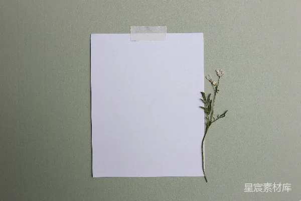 高清摄影 一张纸上插着一朵花的纸。