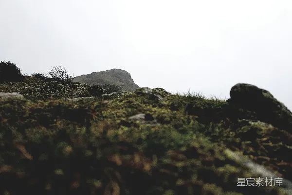 绿草场上黑岩 formations