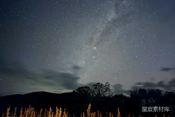 星空下的剪影树木和草地