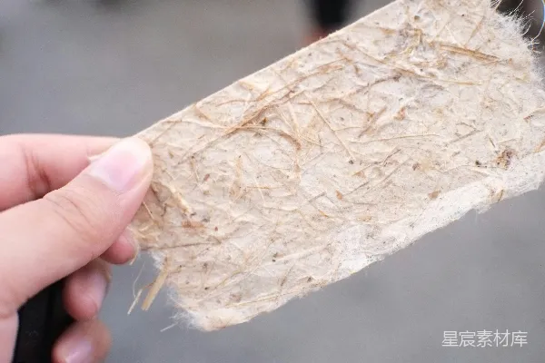 高清摄影 一个人手里拿着一张纸。