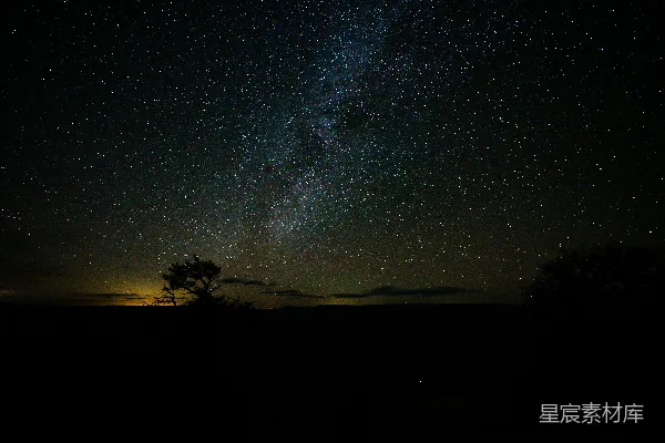 夜空满是星辰和一棵树