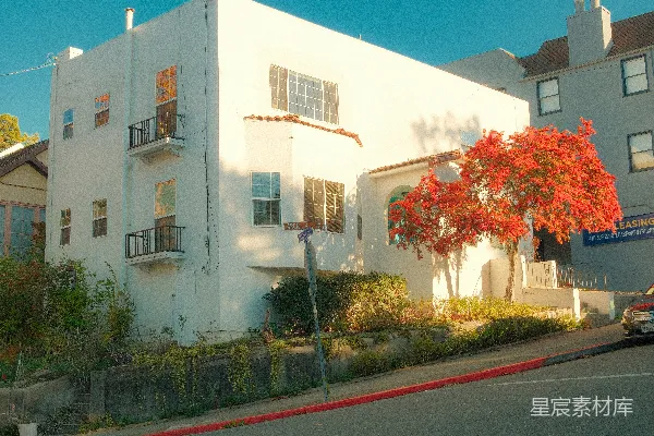 白 Building 里有棵 红树 和 蓝天 。