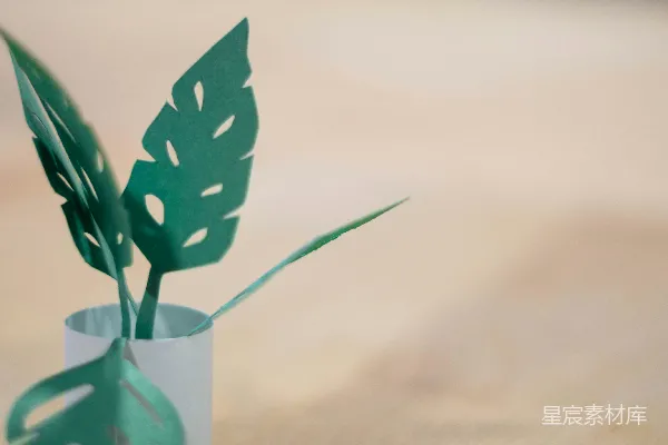 高清摄影 清玻璃花瓶中的蓝花