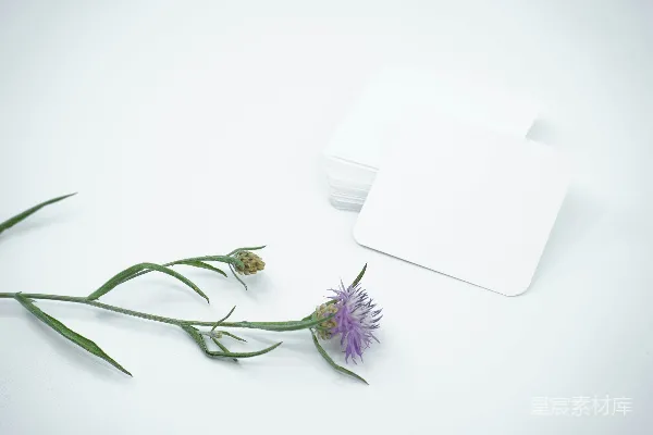 高清摄影 紫色花朵旁边的白色苹果AirPods