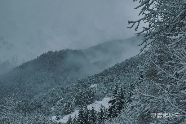一条被雪覆盖的道路环绕着树木和山峦
