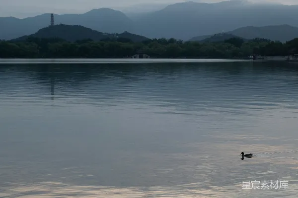 几只鸭子浮在湖面上