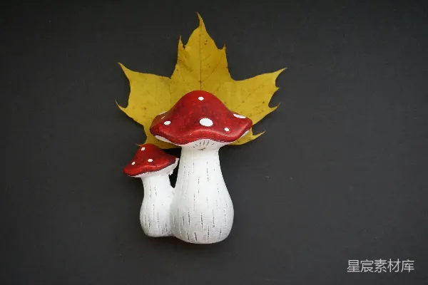 一个小的白和红的玩具